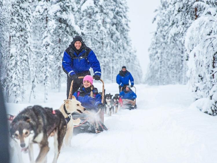 Singlereis Winterreis (HBO-WO) In Fins Lapland